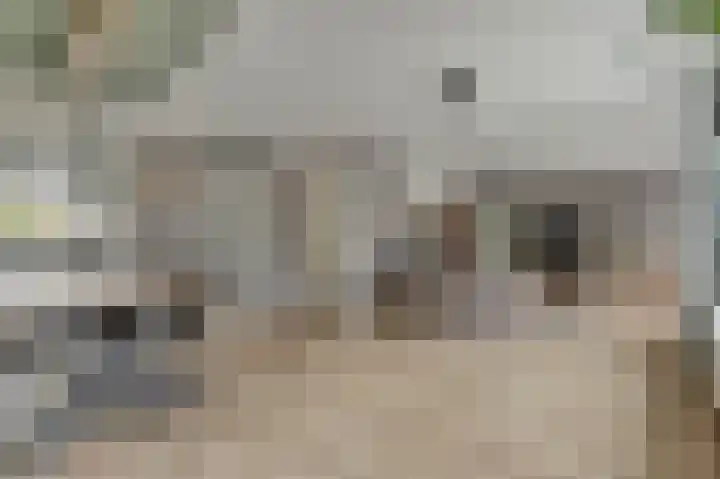 Harp 14 De Lier thumbnail 15