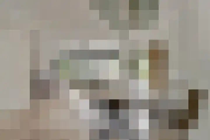 Harp 14 De Lier thumbnail 16