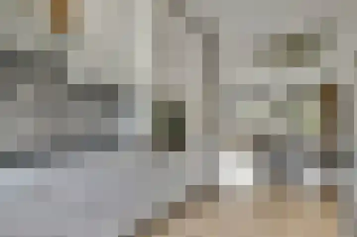 Harp 14 De Lier thumbnail 18