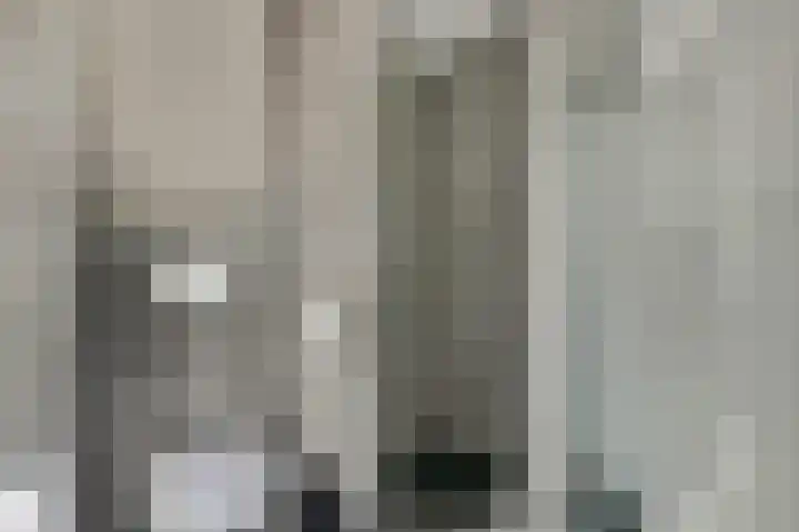 Harp 14 De Lier thumbnail 23