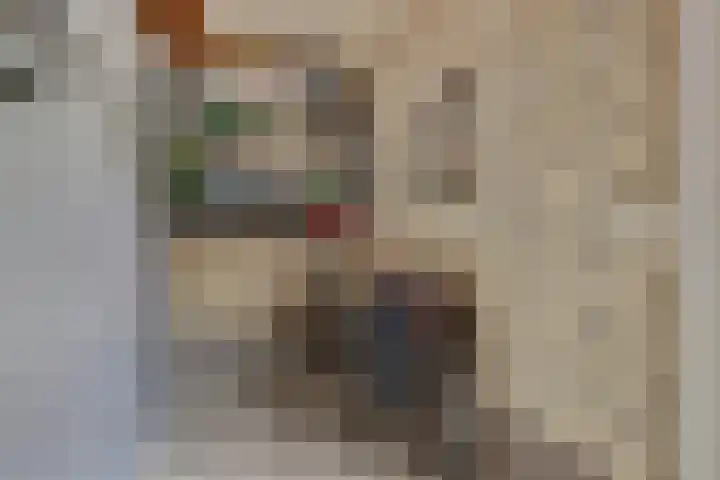Harp 14 De Lier thumbnail 35