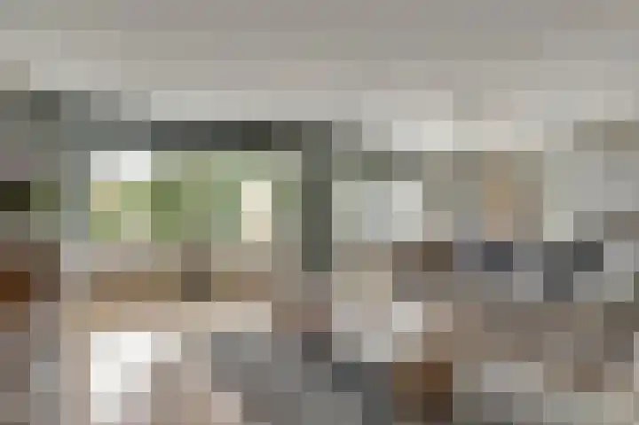 Harp 14 De Lier thumbnail 4