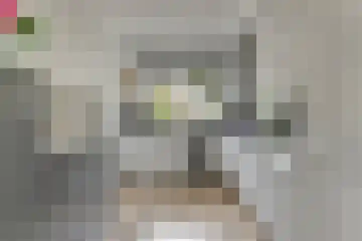Harp 14 De Lier thumbnail 5