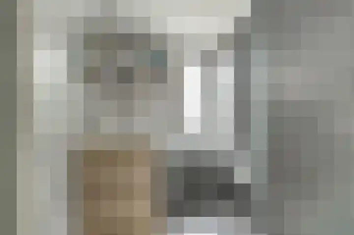 Harp 14 De Lier thumbnail 6