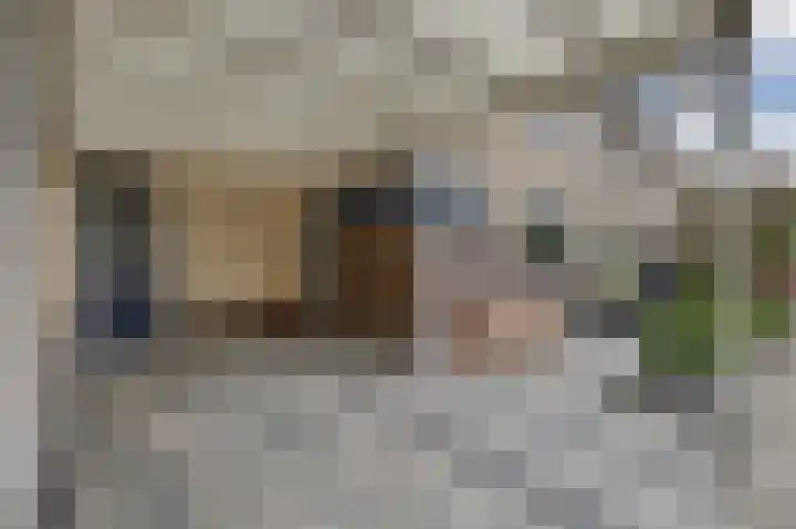 Harp 14 De Lier thumbnail 7