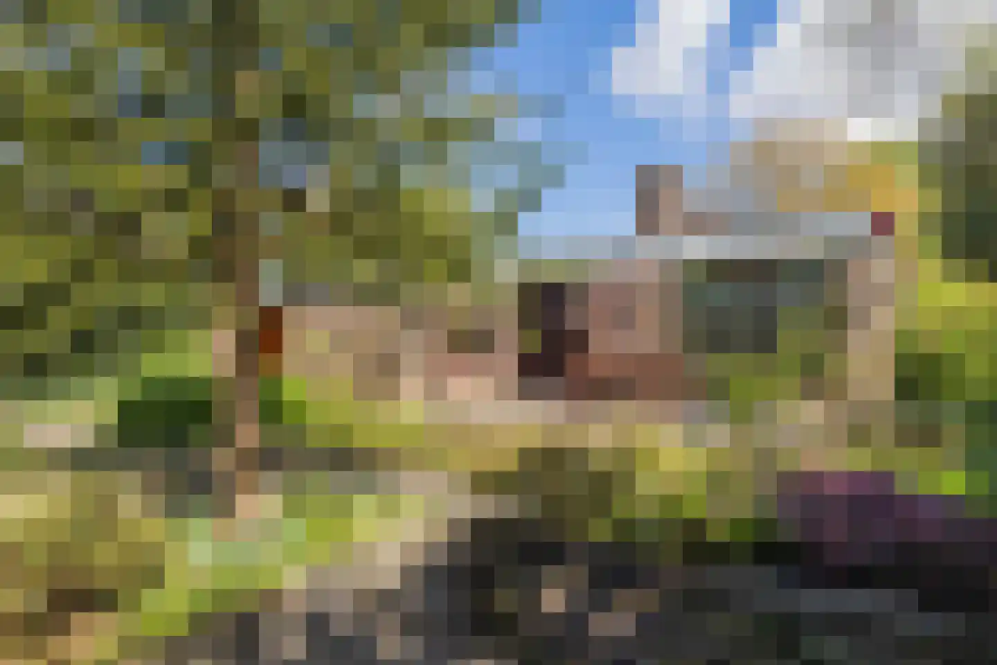 Harp 17 Bennebroek thumbnail 4