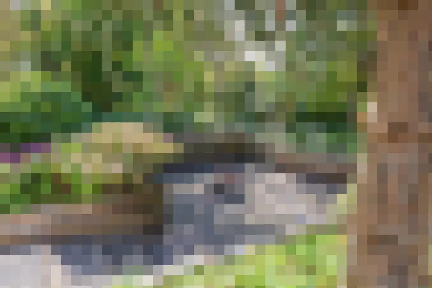 Harp 17 Bennebroek thumbnail 53