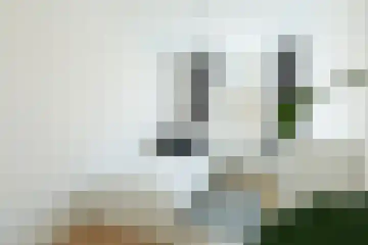 Harp 17 Rotterdam thumbnail 21