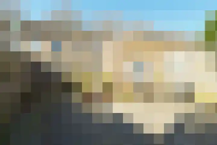 Harp 17 Rotterdam thumbnail 31