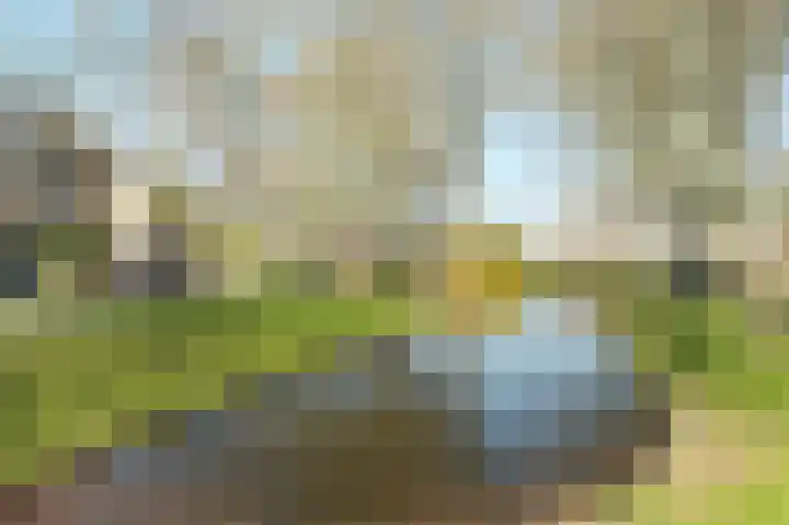 Harp 17 Rotterdam thumbnail 33