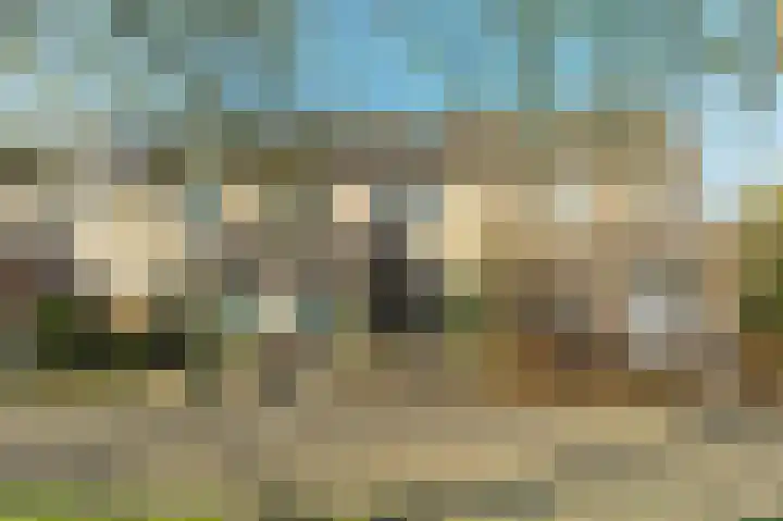 Harp 17 Rotterdam thumbnail 37