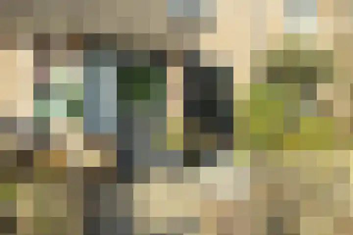 Harp 17 Rotterdam thumbnail 6