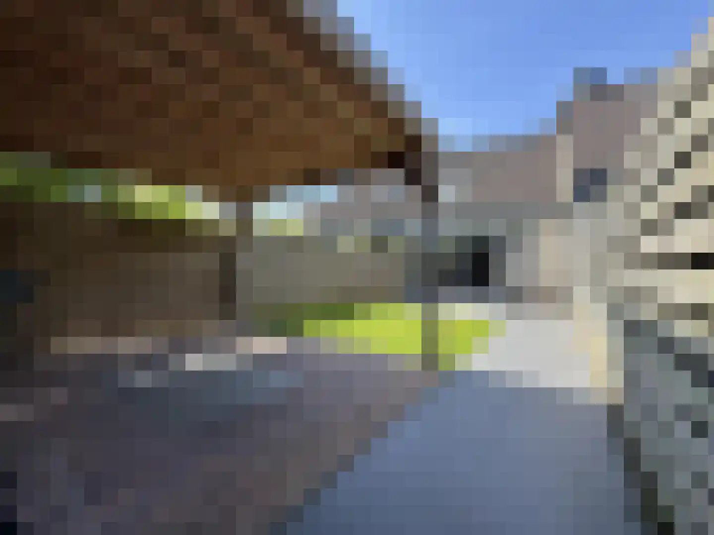 Harp 18 Ewijk thumbnail 23