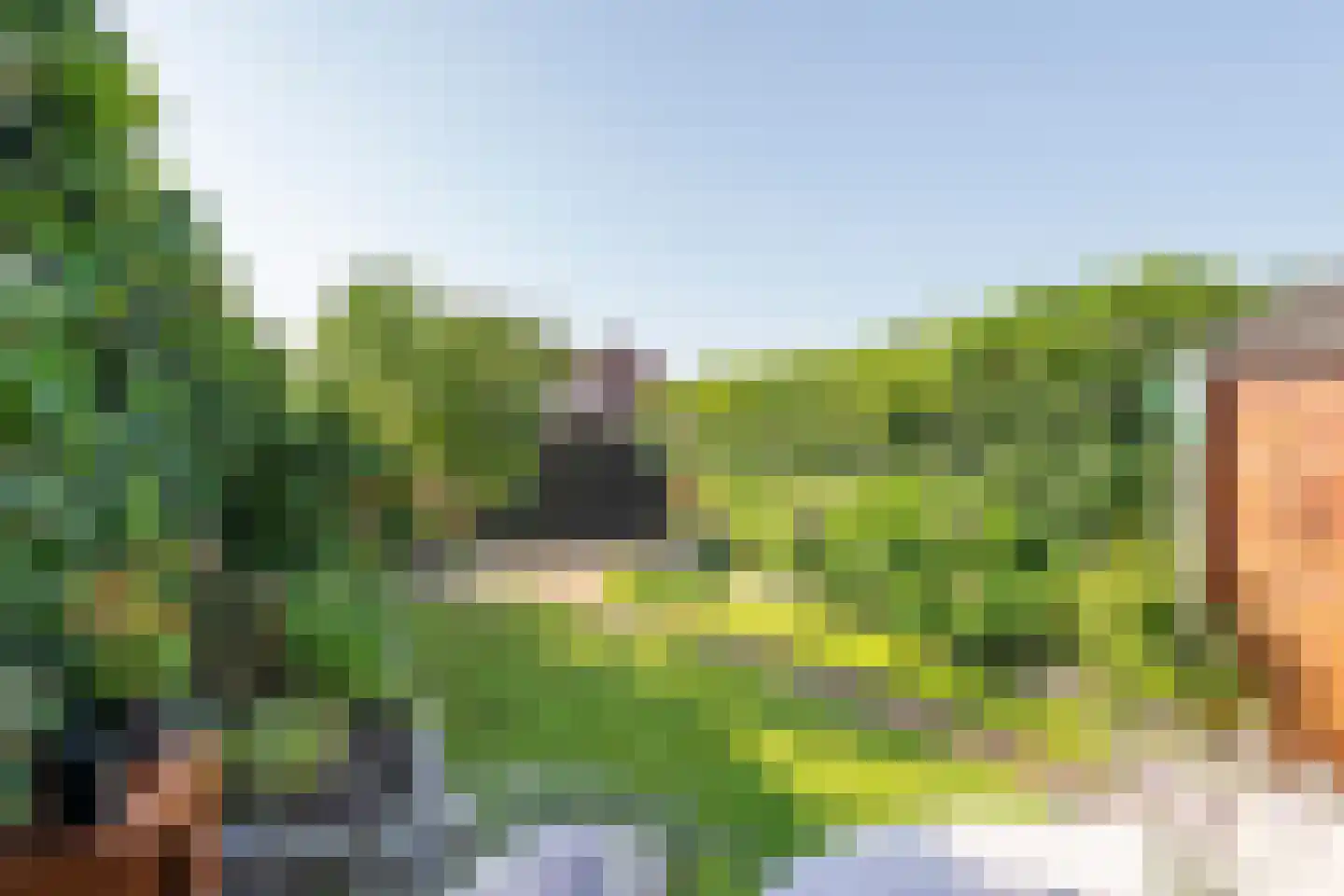 Harp 19 Ewijk thumbnail 5