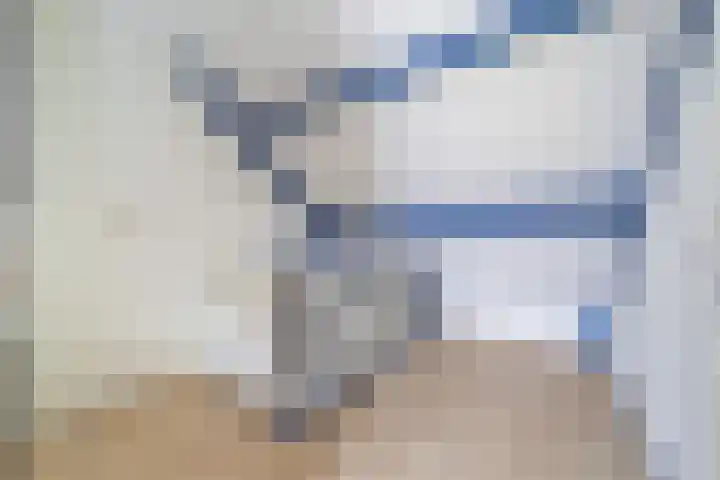 Harp 22 Ewijk thumbnail 11