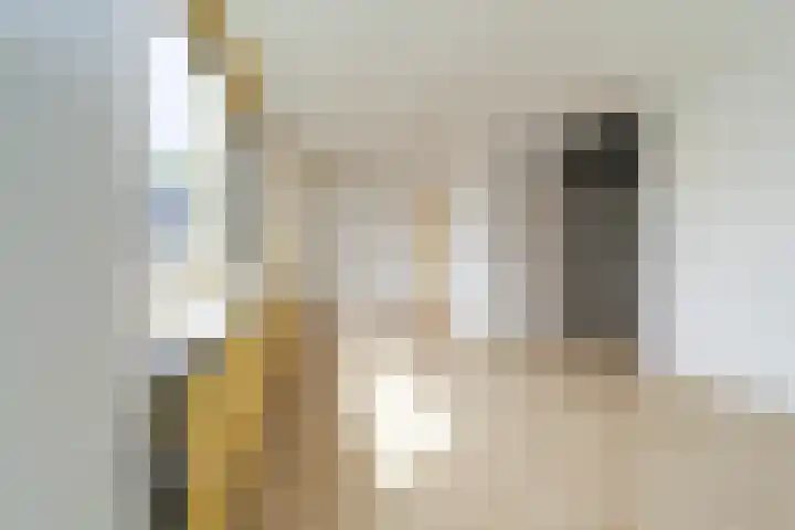 Harp 22 Ewijk thumbnail 14
