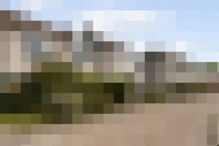 Harp 22 Ewijk thumbnail 18