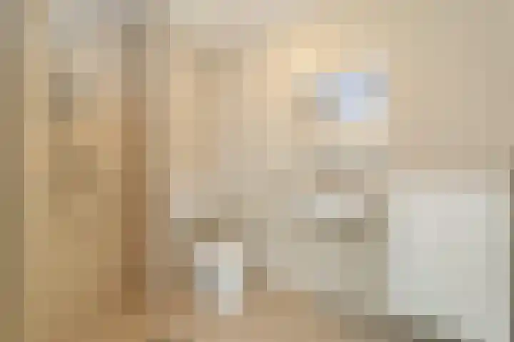 Harp 22 Ewijk thumbnail 5