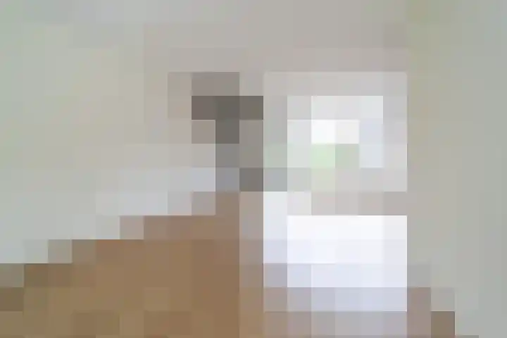Harp 22 Ewijk thumbnail 9