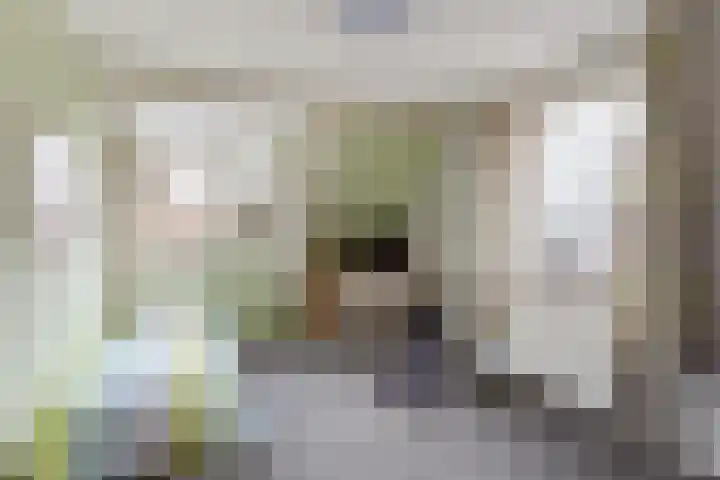 Harp 24 Tubbergen thumbnail 17