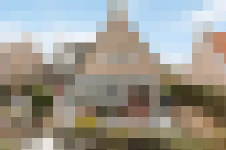 Harp 24 Tubbergen thumbnail 18