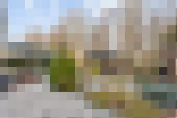 Harp 24 Tubbergen thumbnail 19