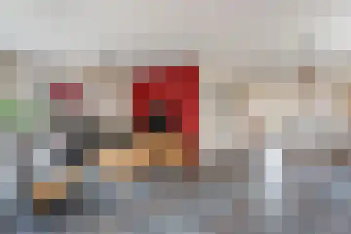 Harp 24 Tubbergen thumbnail 7