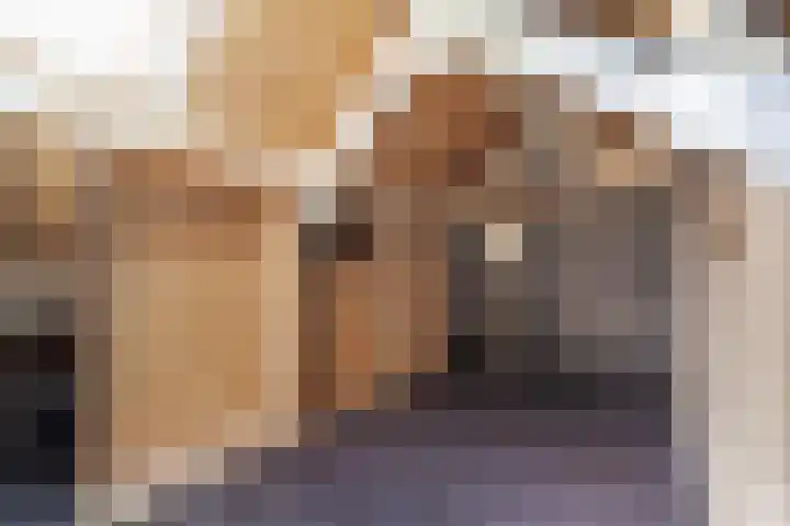 Harp 31 Ewijk thumbnail 21