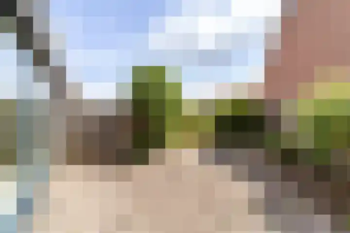 Harp 31 Ewijk thumbnail 22
