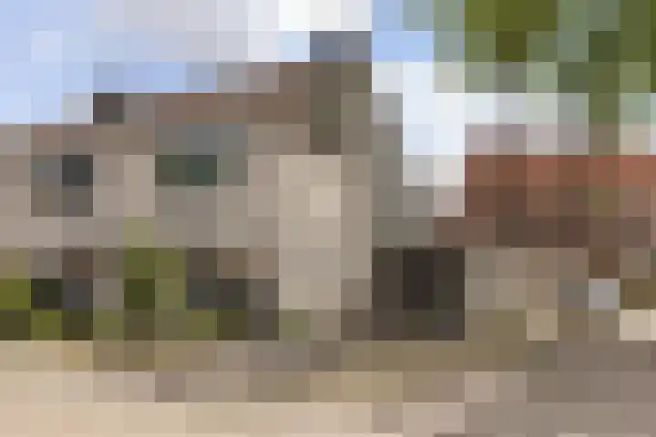 Harp 31 Ewijk thumbnail 23