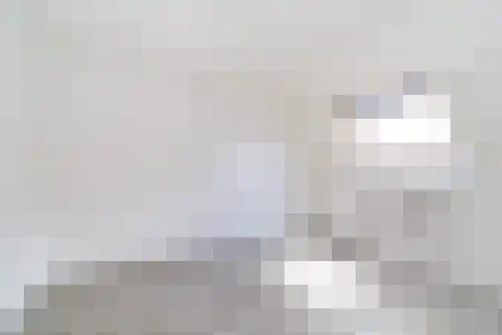 Harp 31 Ewijk thumbnail 4