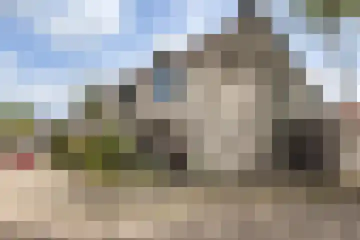Harp 31 Ewijk thumbnail 7