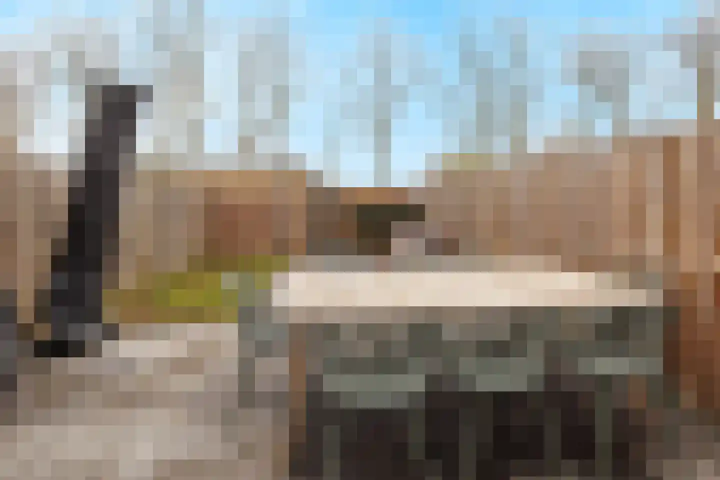 Harp 32 Ewijk thumbnail 35