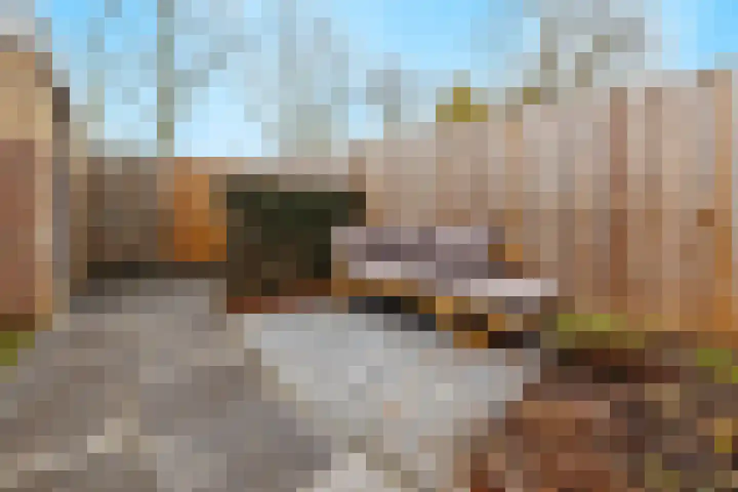 Harp 32 Ewijk thumbnail 37