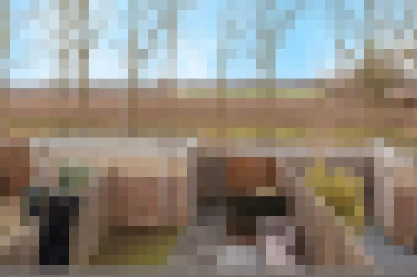 Harp 32 Ewijk thumbnail 39