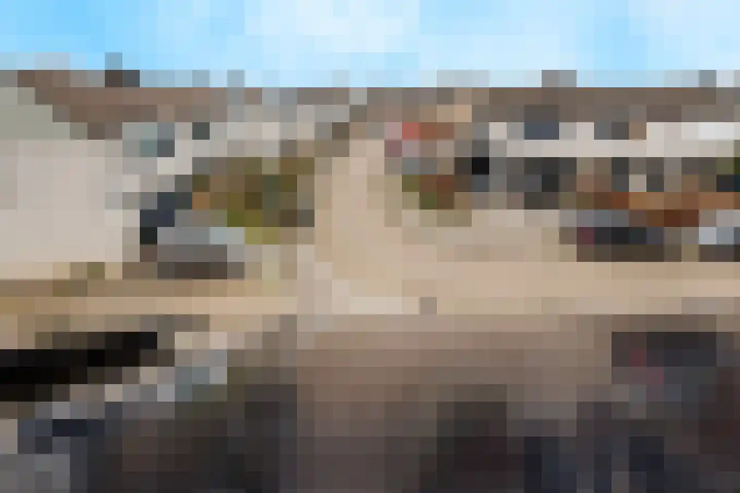 Harp 32 Ewijk thumbnail 44