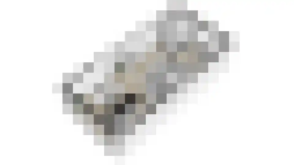 Harp 32 Ewijk thumbnail 46