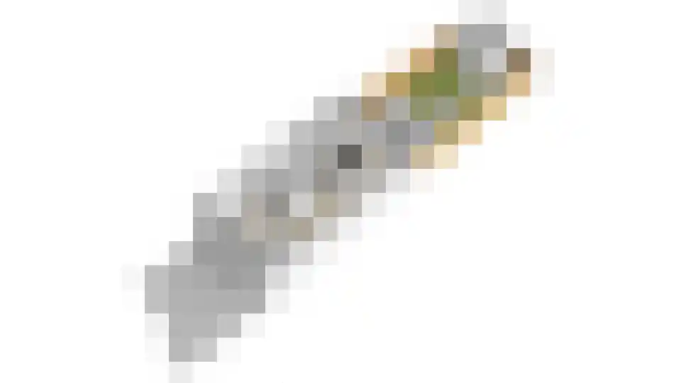 Harp 32 Ewijk thumbnail 59