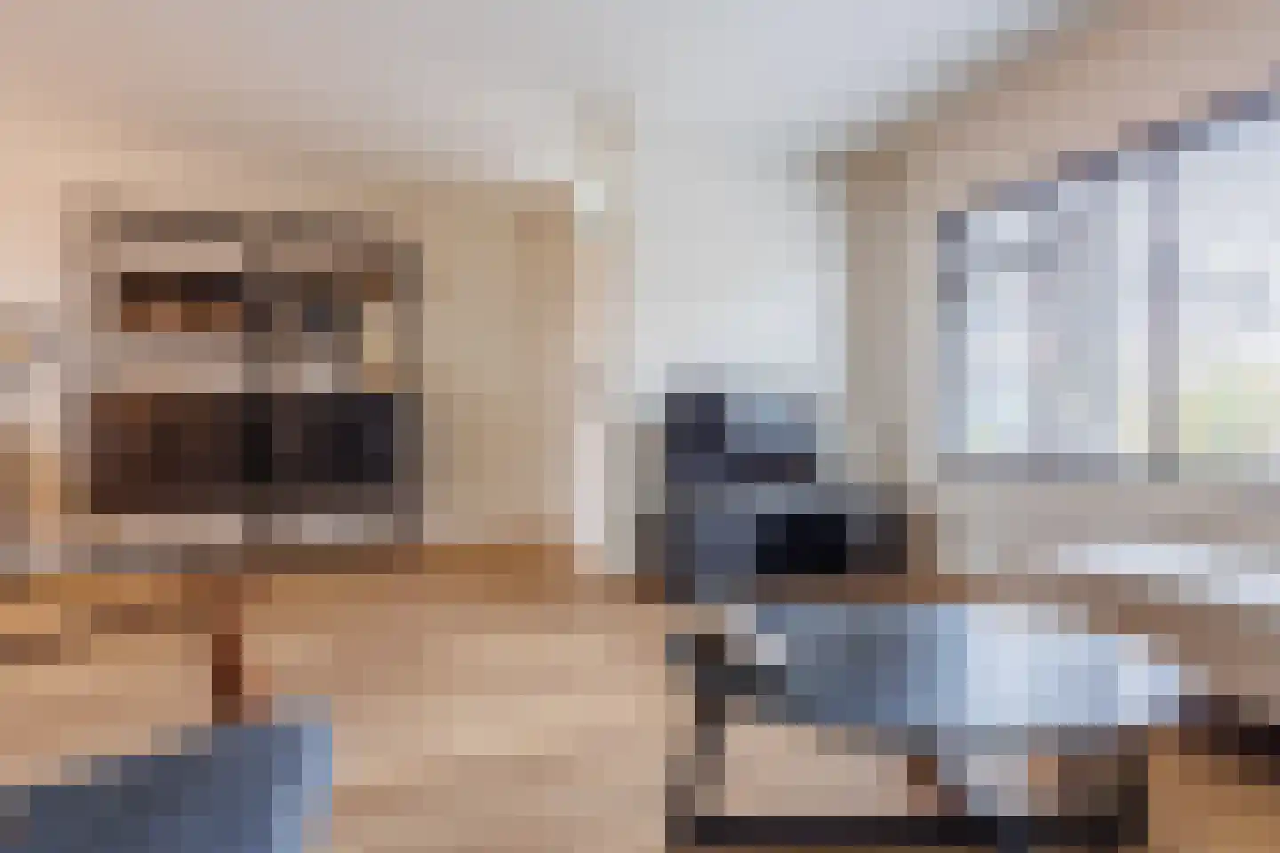 Harp 32 Ewijk thumbnail 6