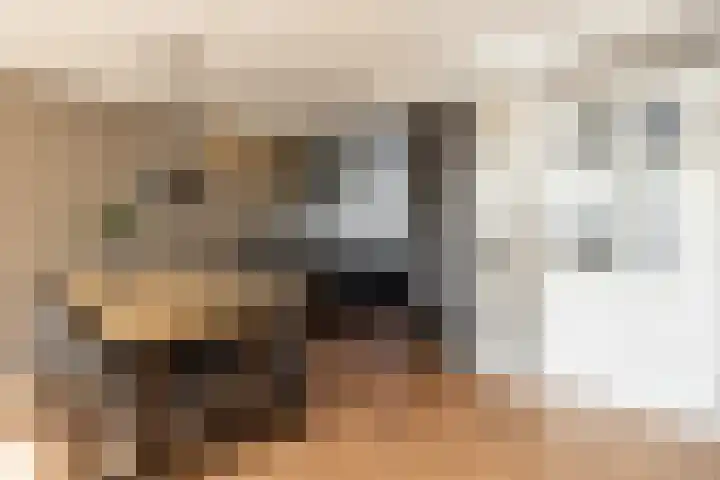 Harp 4 Klaaswaal thumbnail 11