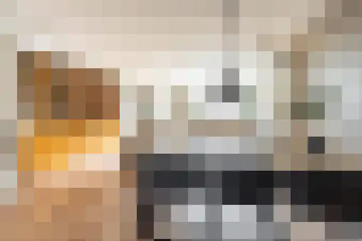 Harp 4 Klaaswaal thumbnail 12