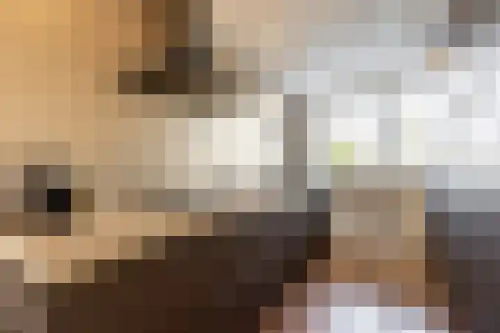 Harp 4 Klaaswaal thumbnail 16