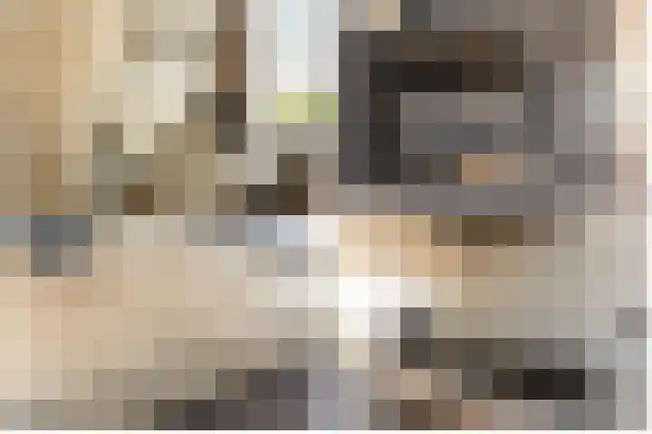 Harp 4 Klaaswaal thumbnail 17