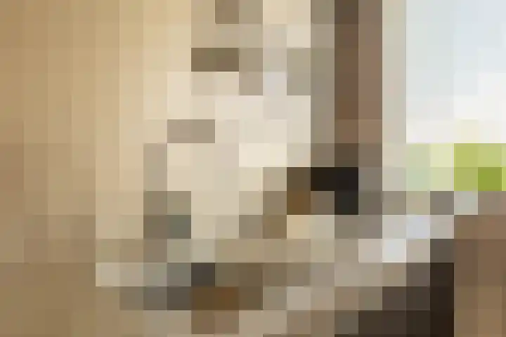 Harp 4 Klaaswaal thumbnail 18