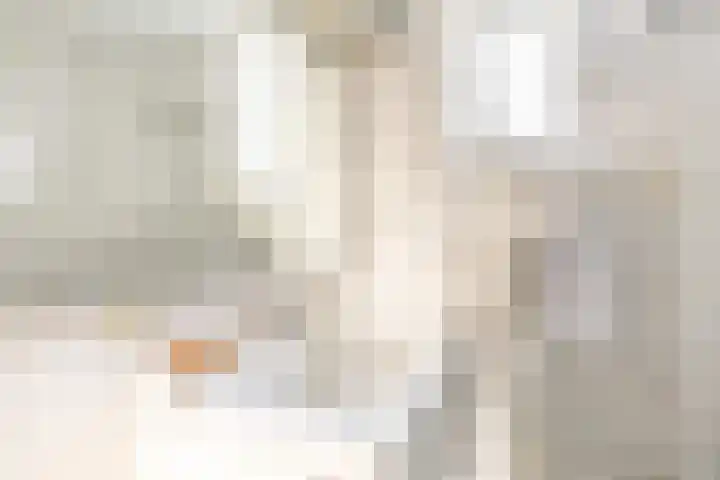 Harp 4 Klaaswaal thumbnail 23