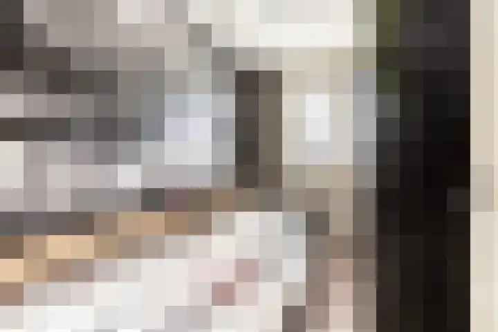 Harp 4 Klaaswaal thumbnail 27