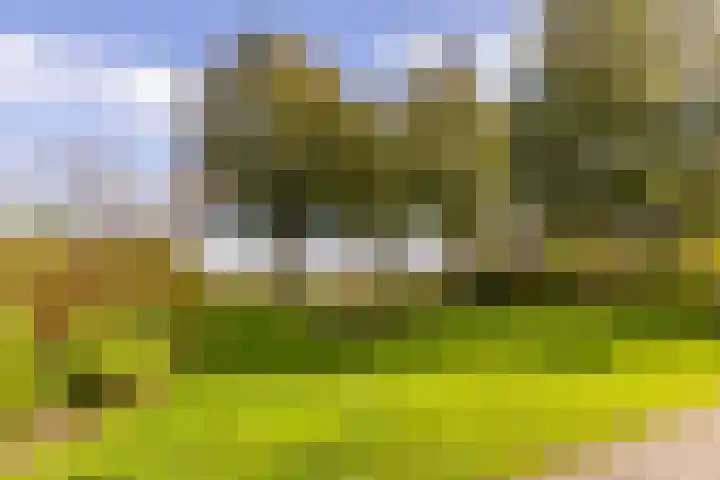 Harp 4 Klaaswaal thumbnail 33