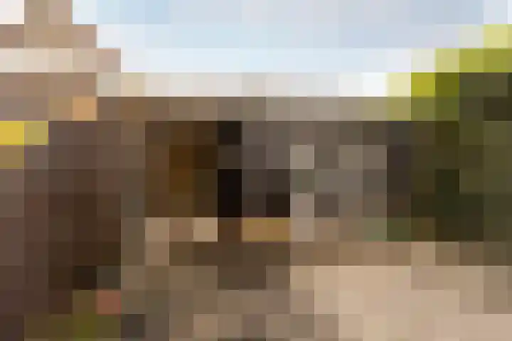 Harp 4 Klaaswaal thumbnail 35