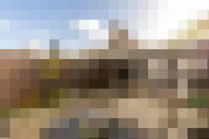 Harp 4 Klaaswaal thumbnail 36