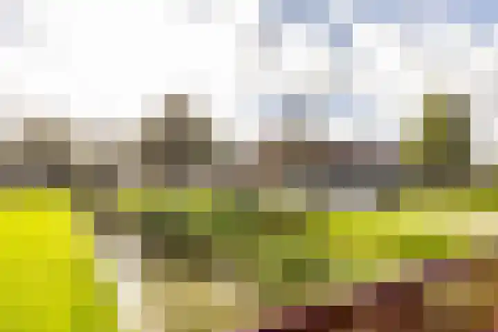 Harp 4 Klaaswaal thumbnail 37
